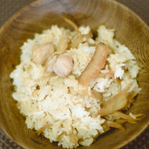 chicken and greater burdock root mixed in rice